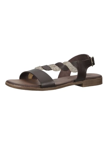 Igi&Co Sandalen in Braun/Silber