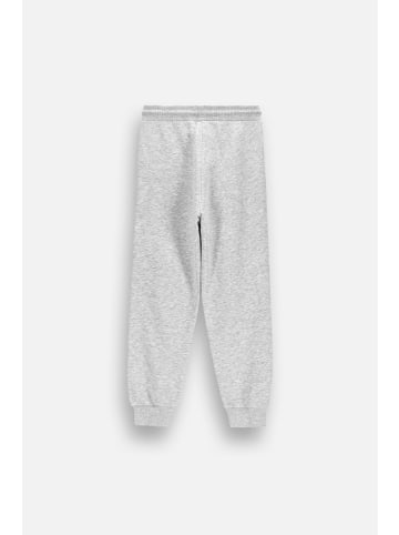Coccodrillo Jogginghose in grau