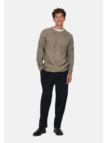 Only&Sons Strickpullover 'ONSDALE LIFE RLX LS' in braun