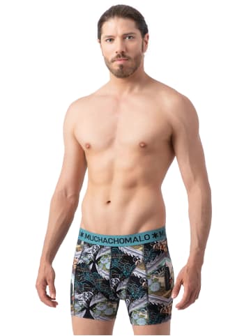 Muchachomalo 2er-Set: Boxershorts in Multicolor/Green