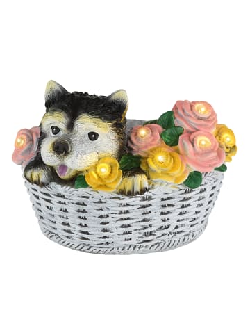 Globo lighting Solarleuchte "SOLAR" in multicolored