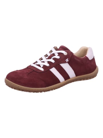 KOEL Damen- Schnürschuhe  in Rot