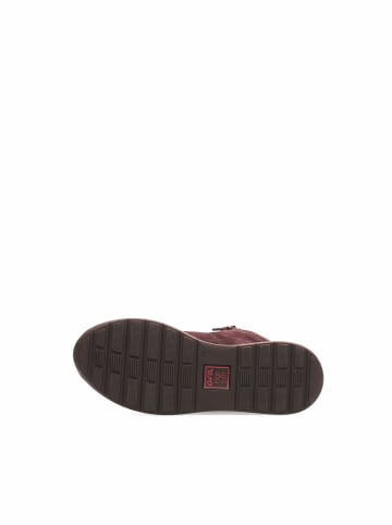 ara Stiefeletten für Damen in bordeaux