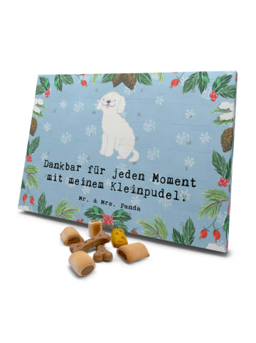 Mr. & Mrs. Panda Hunde Adventskalender Kleinpudel Moment mit Spruch in Eisblau