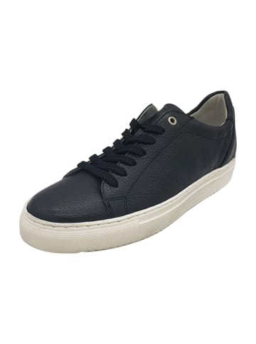 Sioux Sneaker Low in Schwarz
