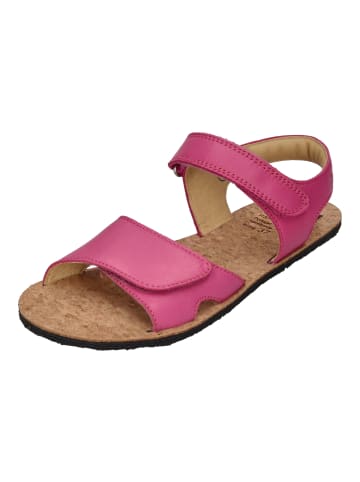 KOEL Sandalen ASHLEY in rosa