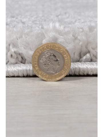 KADIMA DESIGN Strapazierfähiger und kuscheliger Hochflor-Teppich in Grau