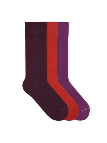 von Jungfeld Classic Socken-Set Signature Innenbund in Chakra