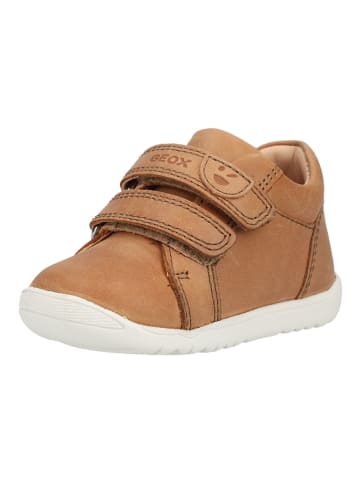 Geox Sneaker Whisky