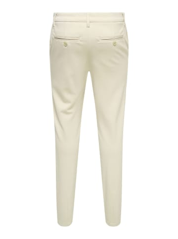 Chino Hose in Moonstruck 1