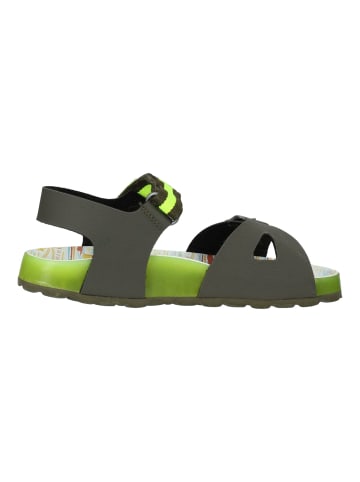 Kickers Sandalen Grün