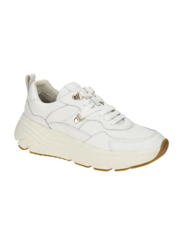 Geox Komfort Schnürschuhe in Weiß