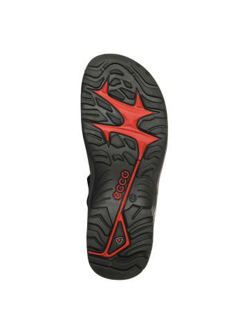 Ecco Outdoorsandalen Offroad in black/mole/blac