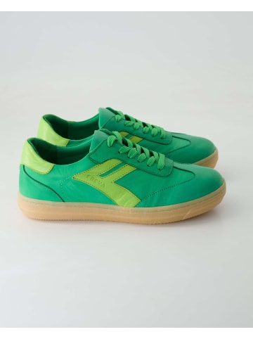 Andrea Conti SHOES Sneaker low in Grün