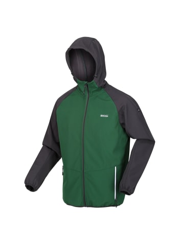 Regatta Softshelljacke Arec III in Grün