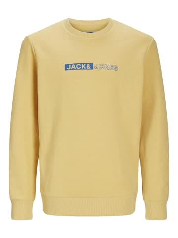 JACK & JONES Junior Sweatshirt in Jojoba