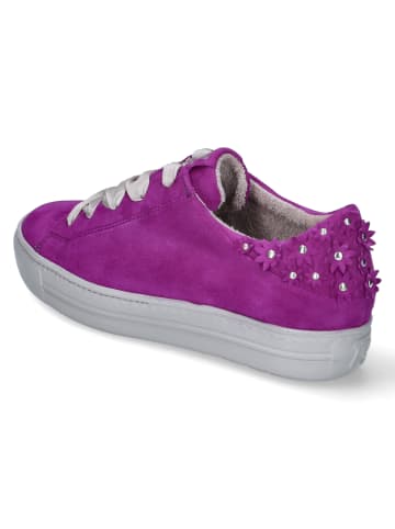 Paul Green Low Sneaker in Violett