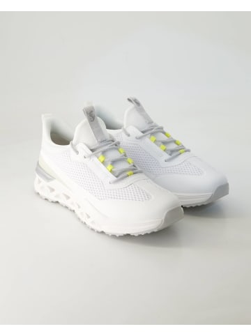 SALAMANDER Sneaker low in Weiß