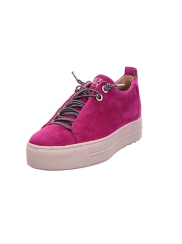 Paul Green Schnürschuh in lila