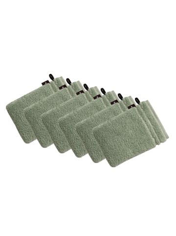 Vossen 6er Pack Waschhandschuh in soft green
