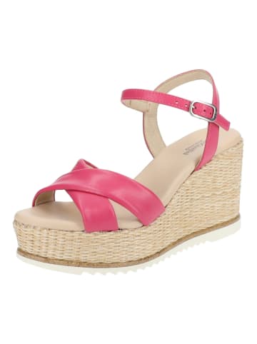 Nero Giardini Sandalen in Fuchsia