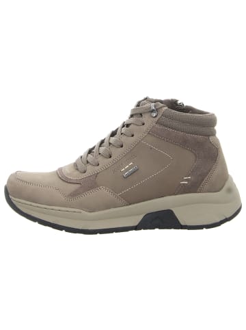 Josef Seibel Schnürschuhe in taupe