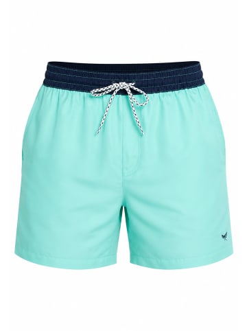Threadbare Badeshorts THBPenglai in Mint