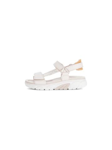 Gabor Schuhe in beige