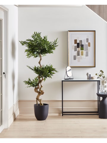Beliani Kunstpflanze RUSCUS TREE in Grün/Schwarz - (W) 80 x (H) 166 x (L) 80 cm