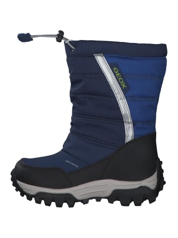 Geox Stiefeletten in NAVY/ROYAL