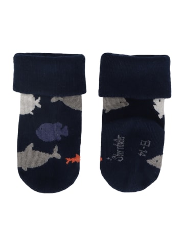 Sterntaler Baby-Socken 3er-Pack Hai in hellgrau mel.