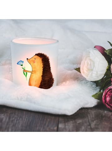 Mr. & Mrs. Panda Glas Kerzenhalter Igel Blumen ohne Spruch in Transparent
