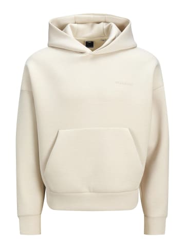 Jack & Jones Kapuzenpullover in Moonbeam