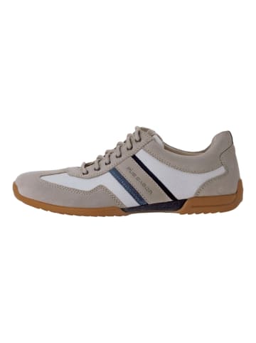 Pius Gabor Sneaker in Hellgrau