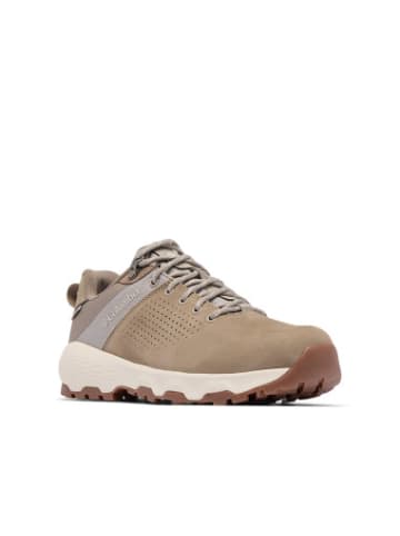 Trekkingschuhe Newton in bunt