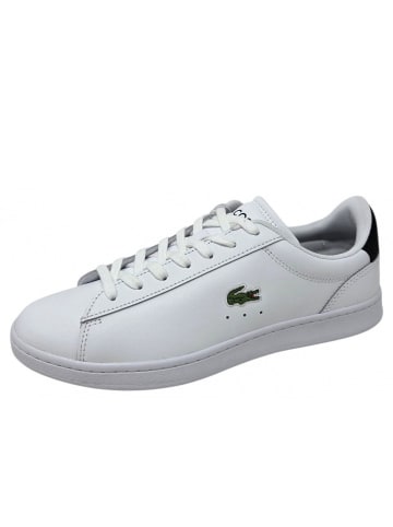 Lacoste Sportschuh Carnaby Set 125 in Weiß