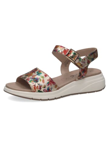 Caprice Sandalette in mehrfarbig