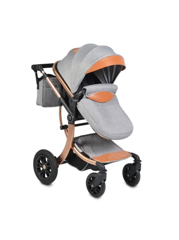 Moni Kombikinderwagen Sofie 2 in 1 in grau