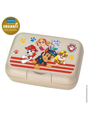 koziol CANDY L PAW PATROL - Lunchbox mit Trennschale in organic sand