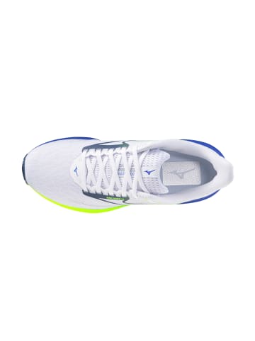 Mizuno Sneakers Low WAVE RIDER 29 in bunt