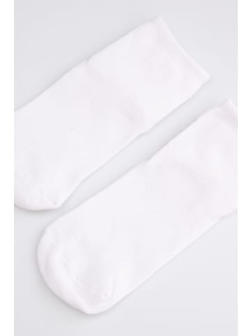 Coccodrillo Socken in ecru