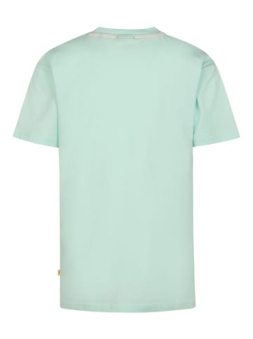 Petrol Industries Jersey T-Shirt Saguaro in Grün