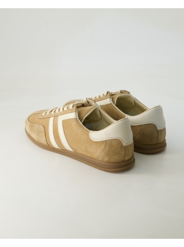 Gant Sneaker low in Beige