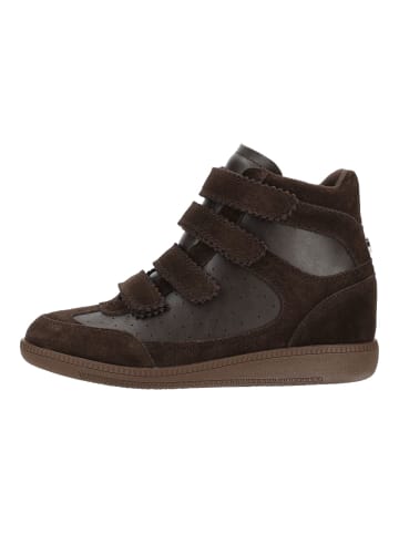 Steve Madden Stiefelette MUSTANG in Braun