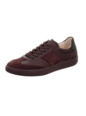 Legero Sneakers Low SILENCE in Dark Cherry