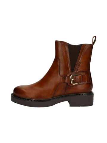 TT. BAGATT Stiefel in cognac