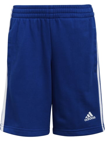 adidas Sportschuh in Blau