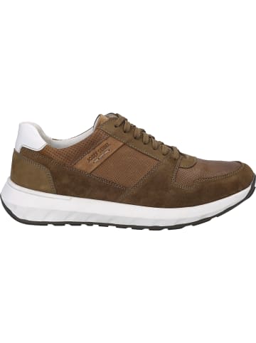 Josef Seibel Sneaker Cameron 10 in braun