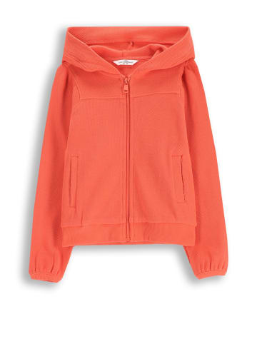 Coccodrillo Reißverschlussjacke in rot