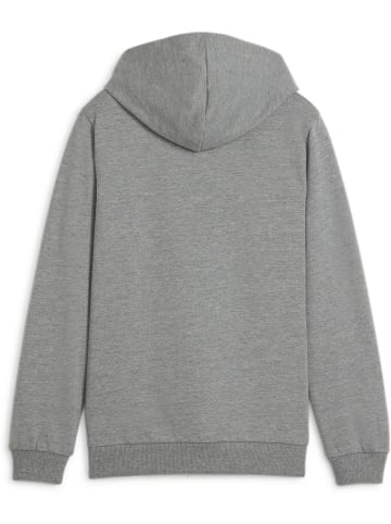 Puma Hoodie "TeamGoal CasuaLongsleeve Hoody Jr" in Grau